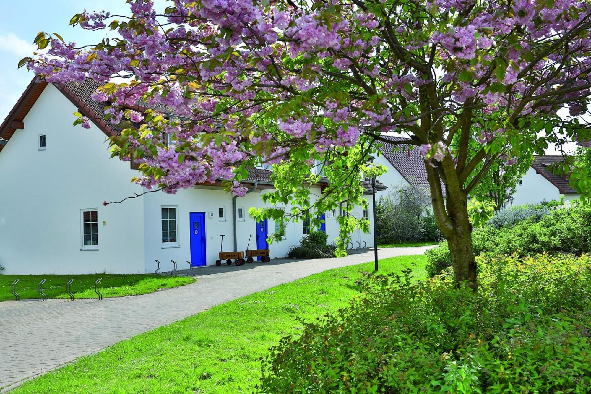 Feriendorf Rerik Bagian luar foto